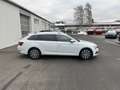 Skoda Superb Combi 2.0 TDI Style 156€ m. 20% Anzahlung AHK Vi Weiß - thumbnail 5