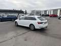 Skoda Superb Combi 2.0 TDI Style 156€ m. 20% Anzahlung AHK Vi Weiß - thumbnail 9