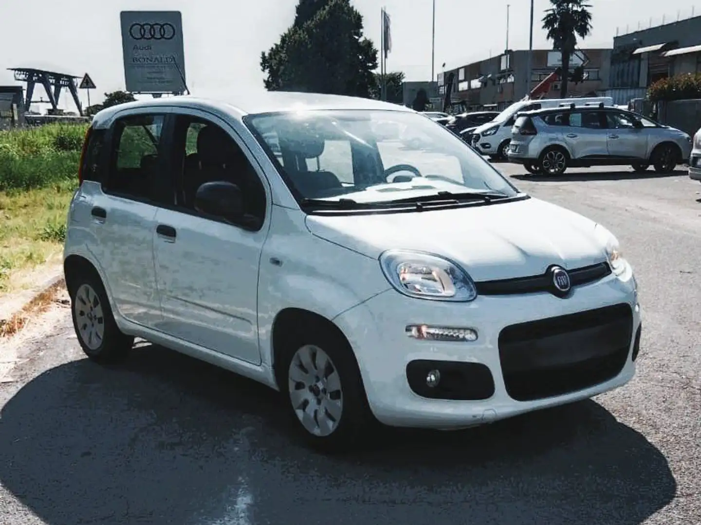 Fiat Panda Panda 1.2 Young 69cv Blanc - 2
