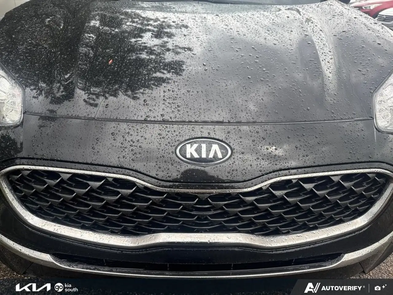 Kia Sportage photo Kia Sportage