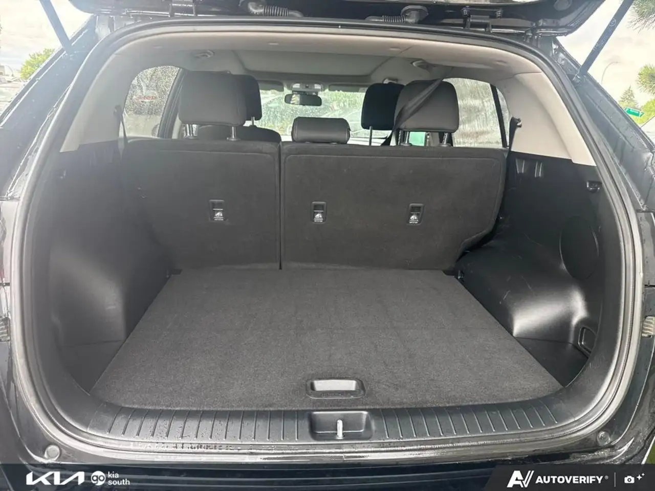 Kia Sportage photo Kia Sportage