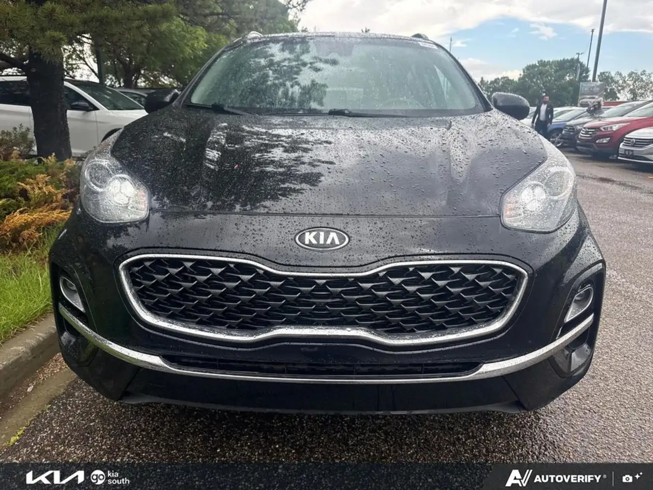 Kia Sportage photo Kia Sportage