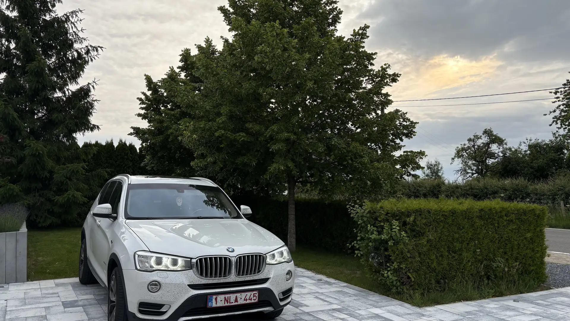 BMW X3 xDrive20d Aut. xLine - 2