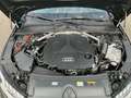 Audi A4 allroad A4 allroad quattro 50 TDI / Navi, Pano, AHK, RFK Grau - thumbnail 8