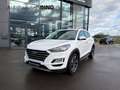 Hyundai TUCSON Premium Allrad Autom. 360 Totwinkel Weiß - thumbnail 1