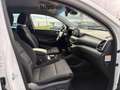 Hyundai TUCSON Premium Allrad Autom. 360 Totwinkel Weiß - thumbnail 15