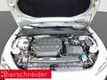 CUPRA Leon SP 2.0 TSI DSG 4Dr VZ AB 275EUR NAVI REAR ACC SHZ Weiß - thumbnail 25