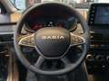 Dacia Jogger Extreme ECO-G 100 Navi PDC Sitzheizung Verde - thumbnail 17