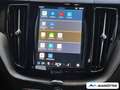 Volvo XC60 T8 AWD Plus Dark BLIS/AHK/360°CAM/ACC/PANO Grau - thumbnail 29