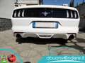 Ford Mustang 3700 V6 KM GARANTITI CARFAX Blanco - thumbnail 15