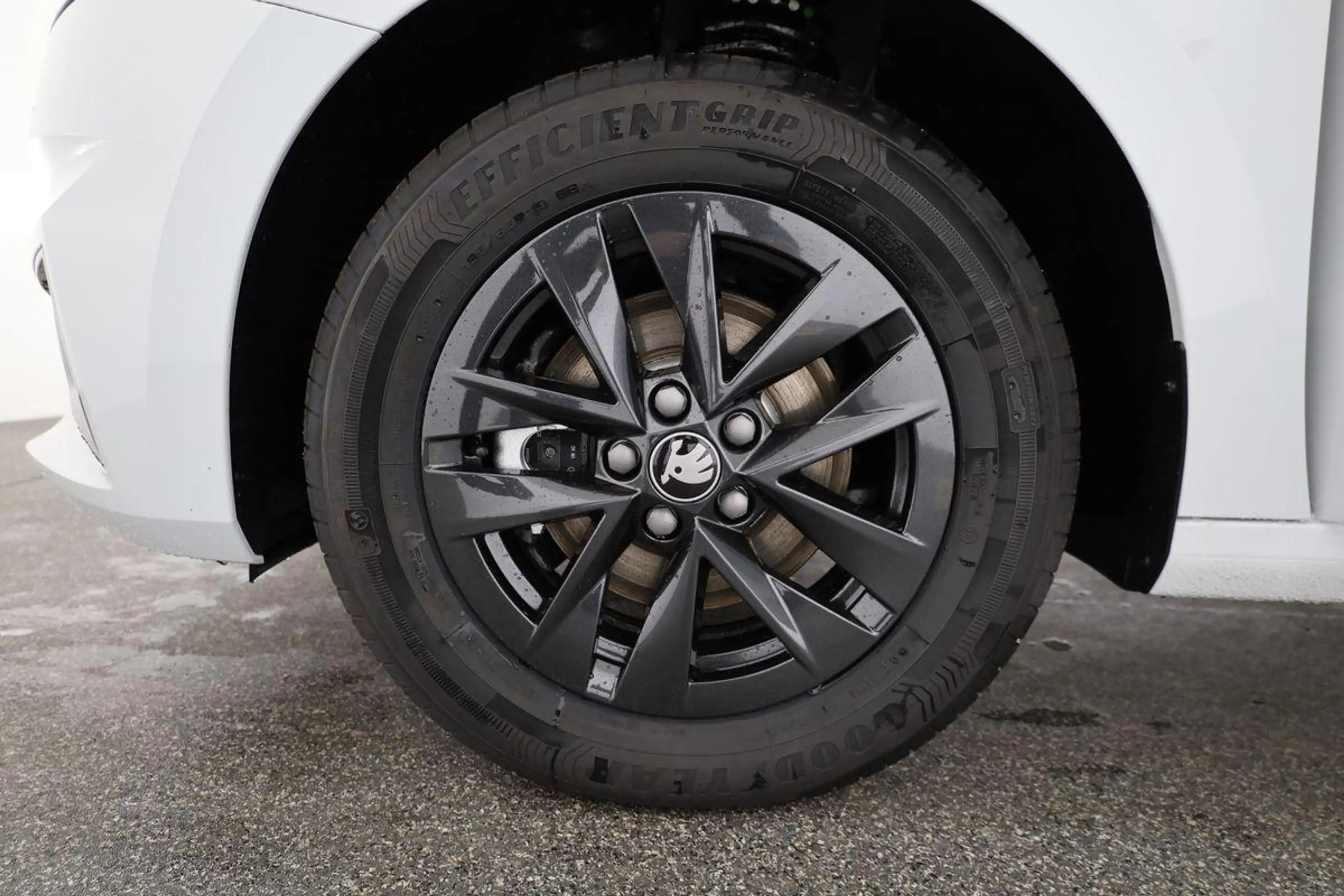 Skoda Fabia Selection 1.0 TSI 130 Jahre, LED, Kamera, Winte... — photo 11