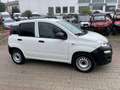 Fiat Panda 1.2 Pop Van 2 posti Bianco - thumbnail 6