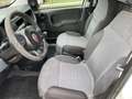 Fiat Panda 1.2 Pop Van 2 posti Bianco - thumbnail 9