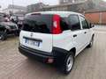 Fiat Panda 1.2 Pop Van 2 posti Bianco - thumbnail 5
