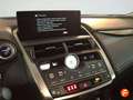 Lexus NX 300h 2.5 Executive Navigation Amarillo - thumbnail 17
