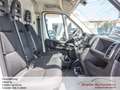 Fiat Ducato Hochr.-Kasten 35 140 L2H2*Kamera* Weiß - thumbnail 11