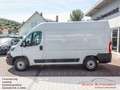 Fiat Ducato Hochr.-Kasten 35 140 L2H2*Kamera* Weiß - thumbnail 7