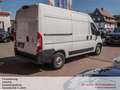 Fiat Ducato Hochr.-Kasten 35 140 L2H2*Kamera* Weiß - thumbnail 6
