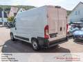 Fiat Ducato Hochr.-Kasten 35 140 L2H2*Kamera* Weiß - thumbnail 4