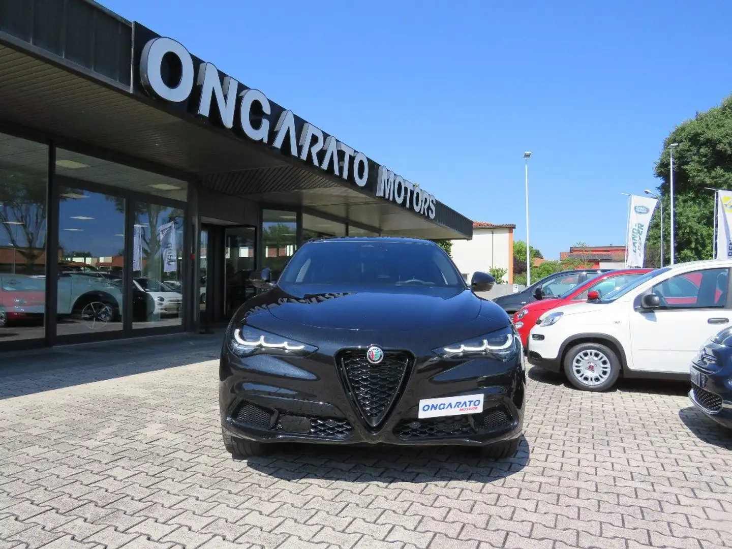 Alfa Romeo Stelvio 2.2 210 CV AT8 Q4 Veloce #Pinze Rosse #VetriScuri Nero - 2