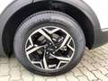 Kia Sportage 1.6 TGDi MHEV 150Cv Business Arancione - thumbnail 8
