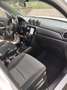 Suzuki Vitara Vitara II  1.0 boosterjet Cool 2wd Bianco - thumbnail 9
