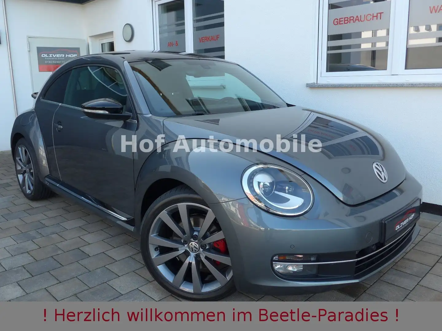 Volkswagen Beetle 2.0TSI DSG Sport Fender Navi 19-Zoll Grau - 1