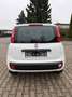 Fiat New Panda 1.2 8V POP Ölwechsel & Tüv Neu Weiß - thumbnail 4
