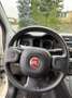 Fiat New Panda 1.2 8V POP Ölwechsel & Tüv Neu Weiß - thumbnail 11