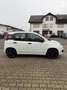 Fiat New Panda 1.2 8V POP Ölwechsel & Tüv Neu Weiß - thumbnail 6