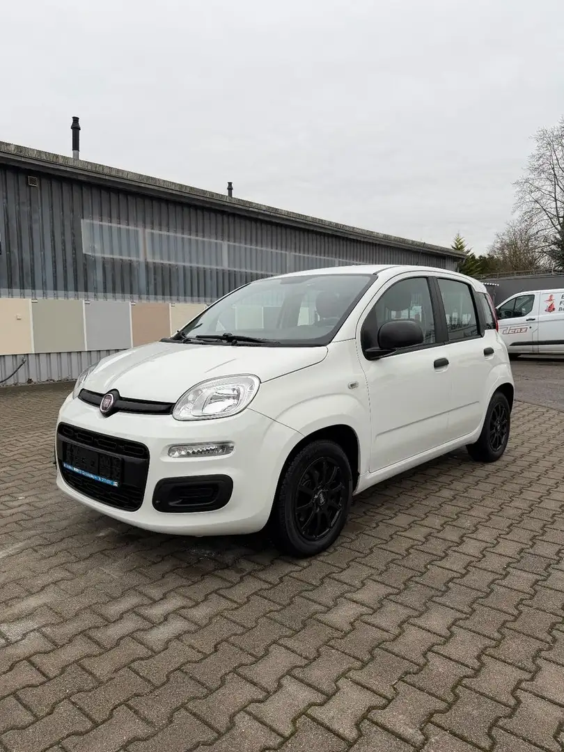 Fiat New Panda 1.2 8V POP Ölwechsel & Tüv Neu Weiß - 1