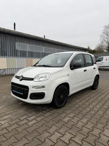 Fiat New Panda 1.2 8V POP Ölwechsel & Tüv Neu