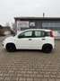 Fiat New Panda 1.2 8V POP Ölwechsel & Tüv Neu Weiß - thumbnail 2
