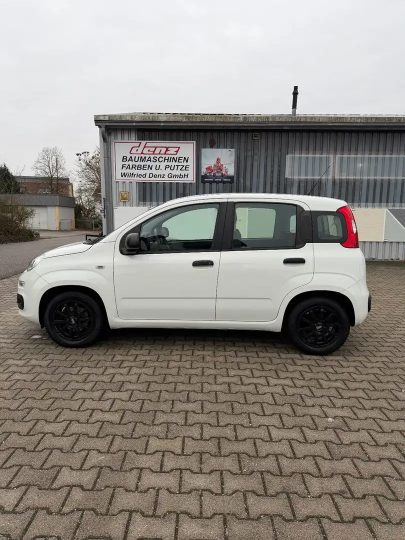 Fiat New Panda 1.2 8V POP Ölwechsel & Tüv Neu Weiß - 2