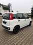 Fiat New Panda 1.2 8V POP Ölwechsel & Tüv Neu Weiß - thumbnail 5
