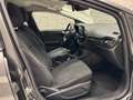 Ford Fiesta Trend*Easy-Driver-Paket-Cool & Sound-Pake Grau - thumbnail 12