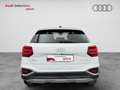 Audi Q2 30 TFSI Advanced 81kW Blanco - thumbnail 5