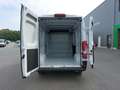 Fiat Ducato Blanc - thumbnail 6