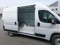 Fiat Ducato Blanc - thumbnail 13