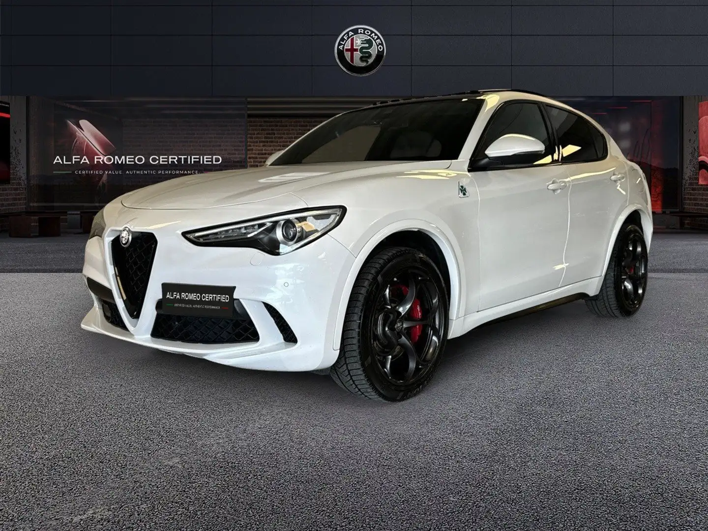 Alfa Romeo Stelvio 2.9 V6 510CV Quadrifoglio AT8 Q4 Bianco - 1