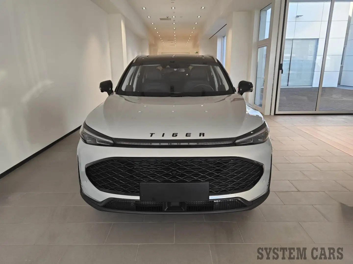 Tiger Sonstige Eight 1.5T DI GPL 7DCT - Pronta Consegna Silber - 2