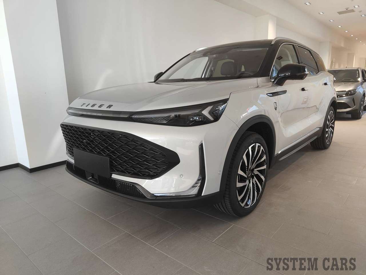 Tiger Others Eight 1.5T DI GPL 7DCT - Pronta Consegna