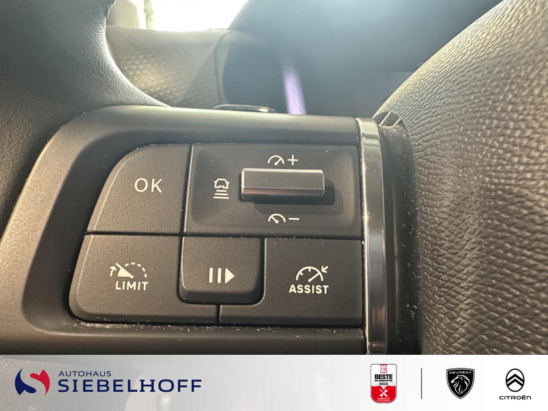 Citroen C4 Shine PureTech 130 EAT8 — photo 11