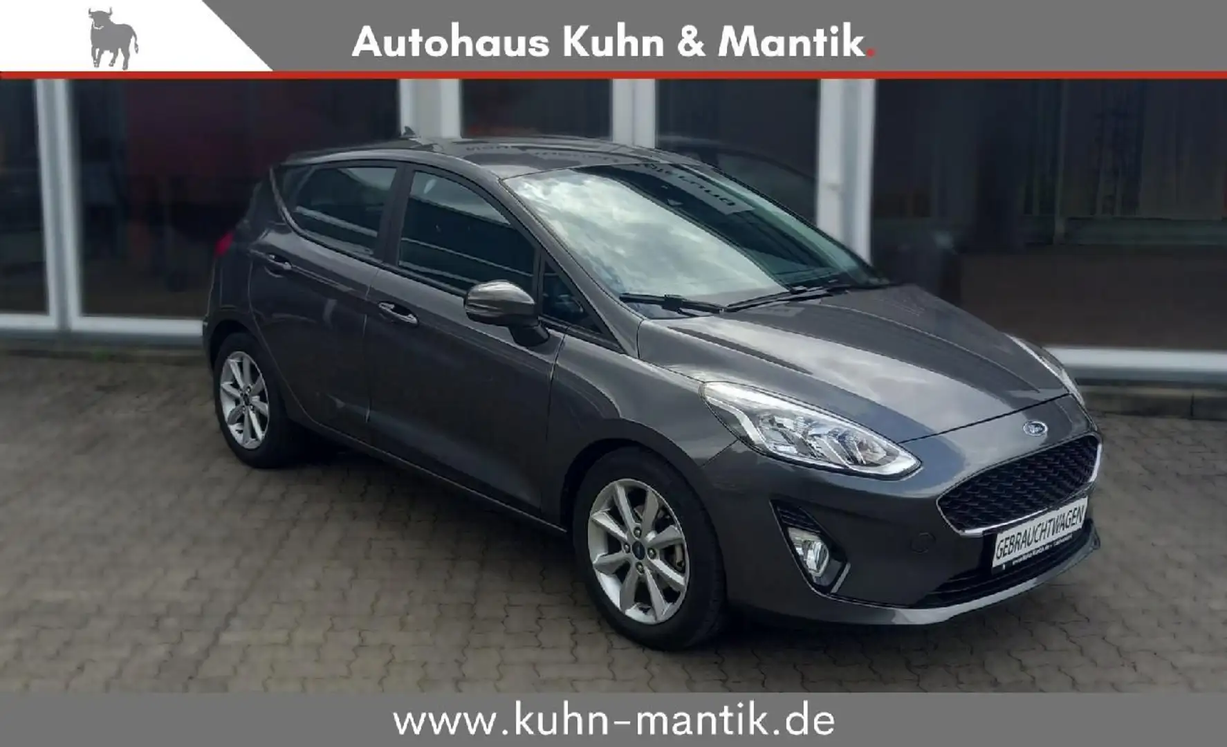 Ford Fiesta Cool & Connect 1.0 PDC SHZ LANEASSIT GRA Gris - 1