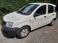 Fiat Panda Panda 1.3 Multijet Diesel Emotion Wit - thumbnail 1