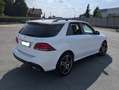 Mercedes-Benz GLE 250 GLE - W166 d 4matic auto - Pacchetto AMG line Bianco - thumbnail 2