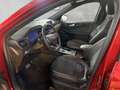 Ford Kuga Plug-In Hybrid ST-Line X Rojo - thumbnail 9