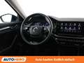 Skoda Octavia 2.0 TDI Premium Blau - thumbnail 13