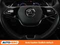 Skoda Octavia 2.0 TDI Premium Blau - thumbnail 19