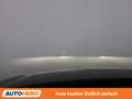 Skoda Octavia 2.0 TDI Premium Blau - thumbnail 21